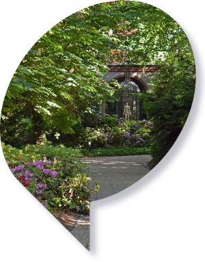 BEELDENBOS