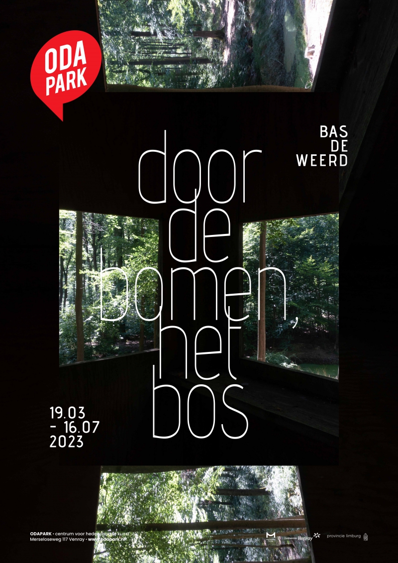 door de bomen, het bos