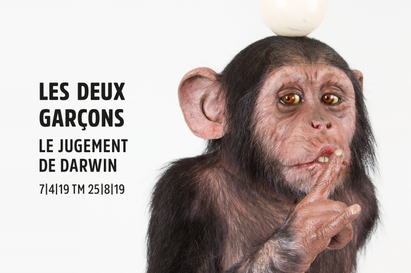 Le Jugement de Darwin