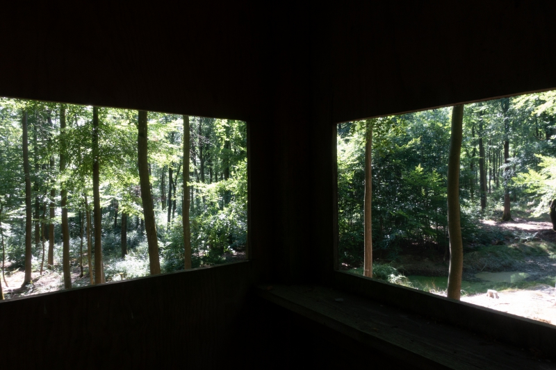 door de bomen, het bos: Bas de Weerd